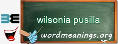 WordMeaning blackboard for wilsonia pusilla